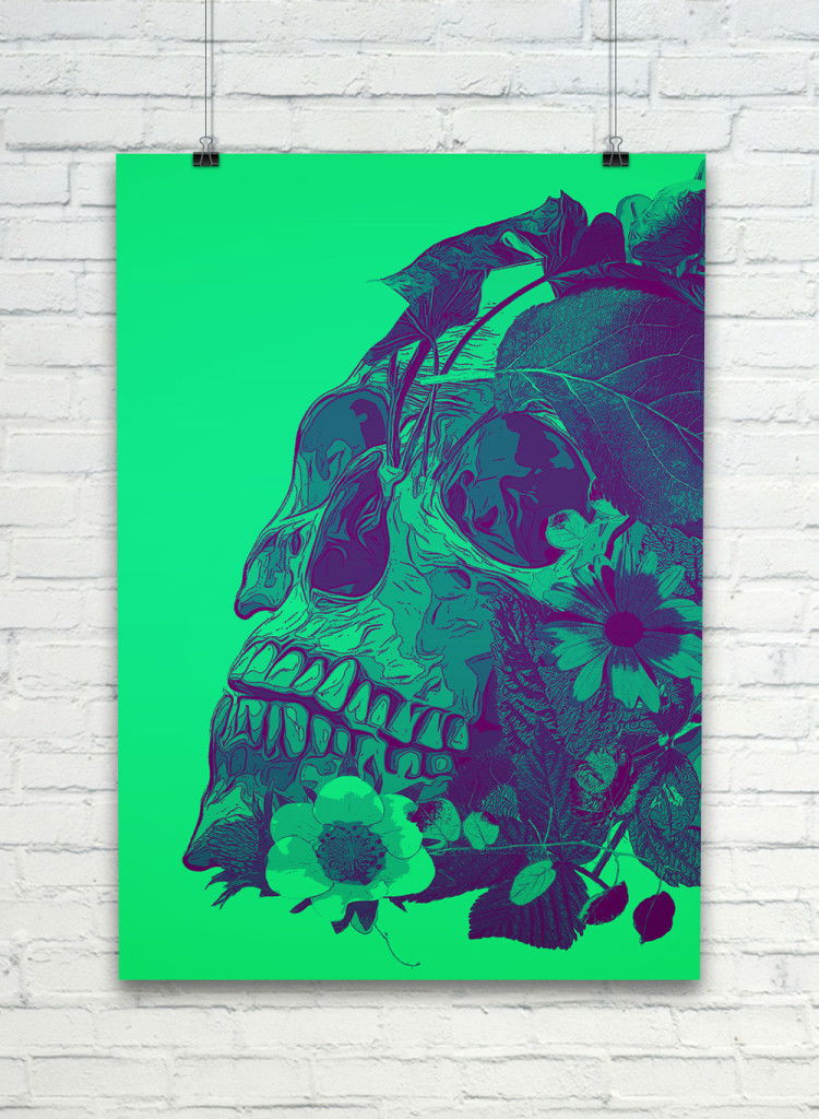 Seed+Skull