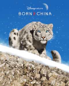Official Disneynature-Born In China