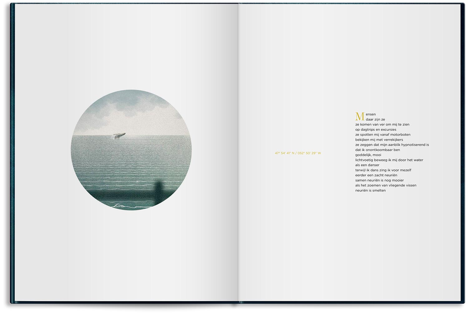 Artist's Client-Book Illustration